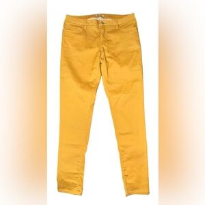 Express Mustard Yellow Pants